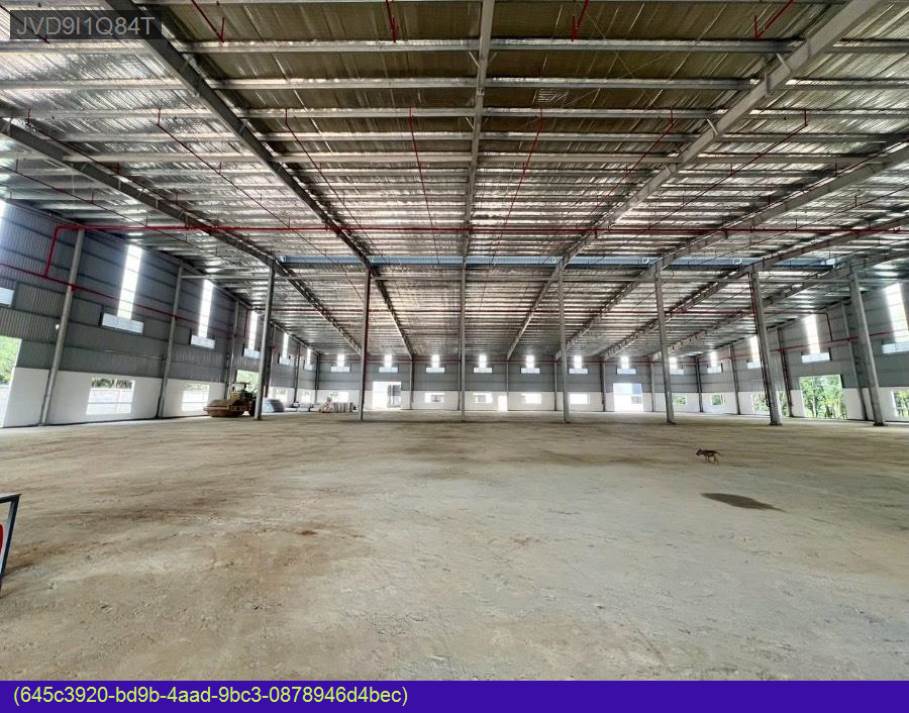 Nhà Xưởng Cho Thuê Khu Vực Long Nguyên Bàu Bàng 11.300m² - Pháp Lý Rõ Ràng, Giá Tốt!