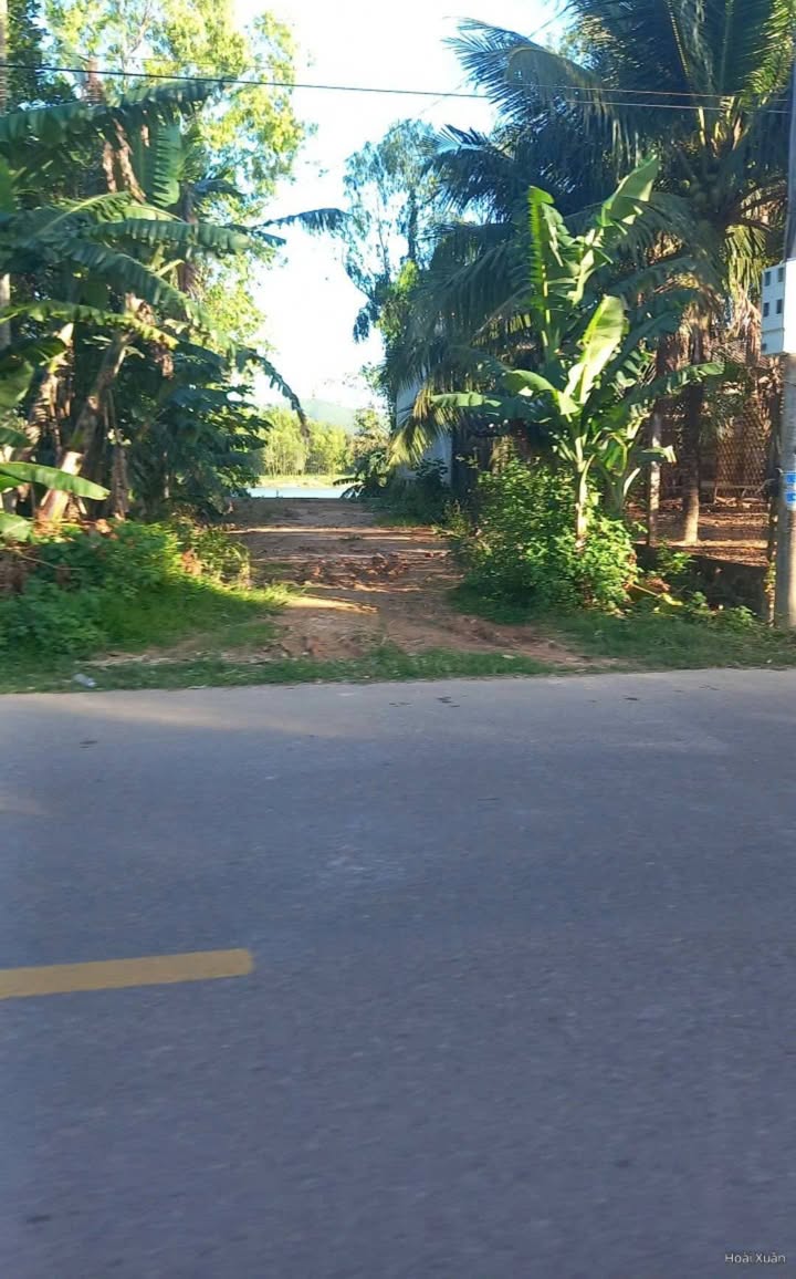 Đất thổ cư Trường Chinh Hoài Nhơn 174m² giá 9xx triệu - Cơ hội đầu tư sinh lời