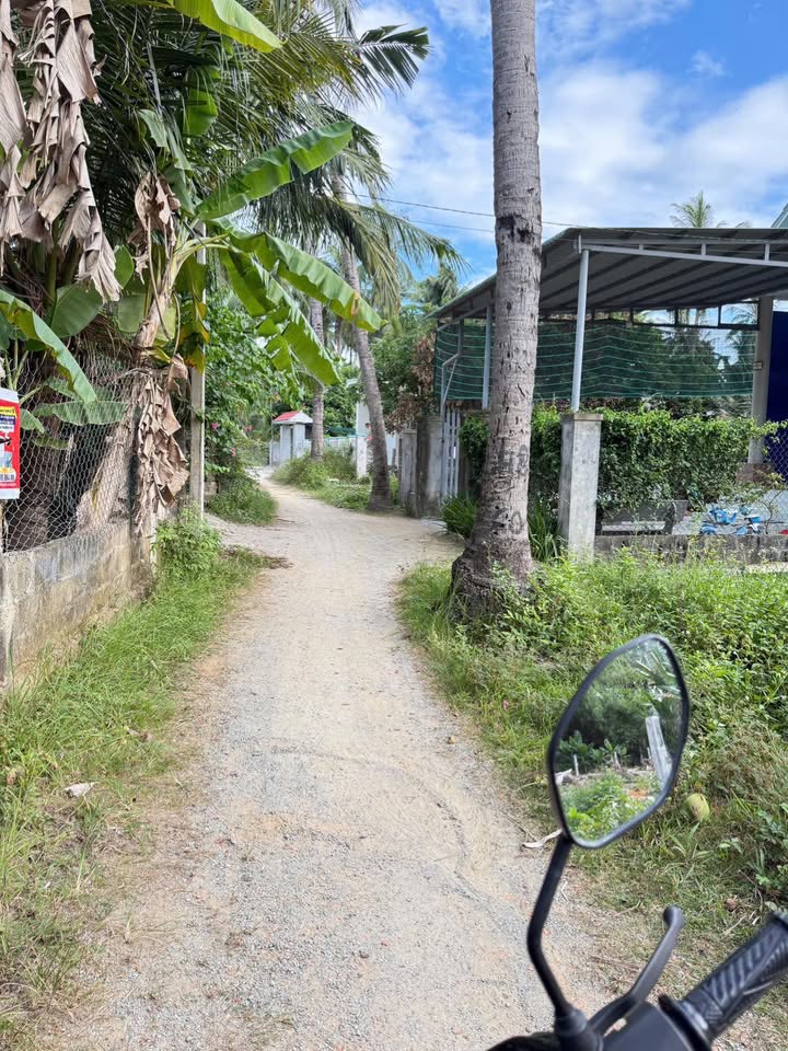 Đất thổ cư 110m² tại khu phố 9, phường Tam Quan - Giá chỉ 300 triệu, cơ hội đầu tư tuyệt vời!