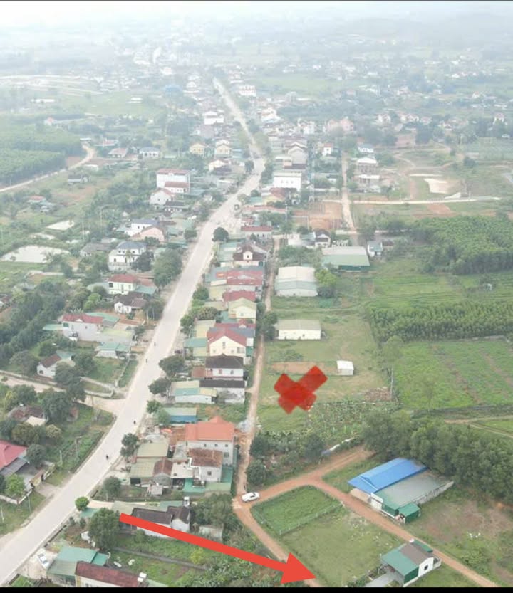 Đất 2 mặt tiền Kim Liên, Nam Đàn 288m² giá 1.5 tỷ - Cơ hội kinh doanh tuyệt vời!