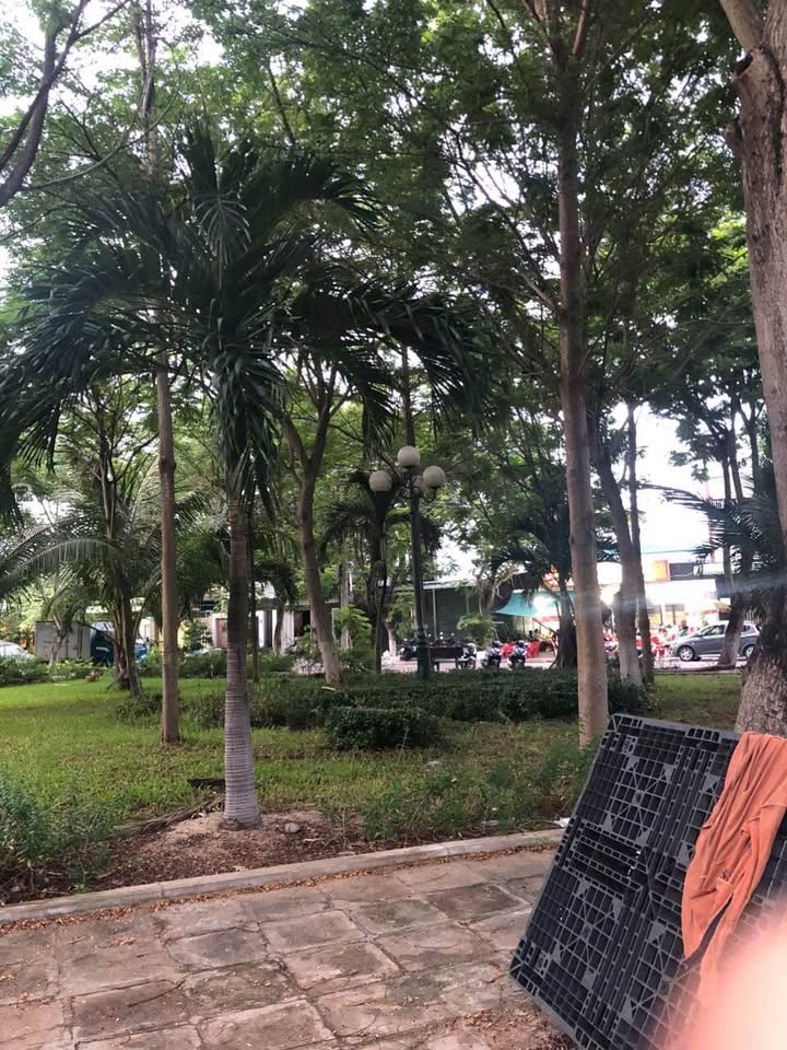 Nhà mặt tiền Đường Hà Thanh, Đống Đa, 56m² giá 3.1 tỷ - Cơ hội đầu tư hấp dẫn!