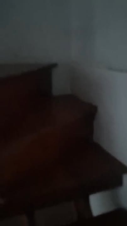 Nhà cho thuê đường Tạ Quang Bửu, Phường 3, 20m² chỉ 5.5 triệu/tháng - Sẵn sàng vào ở!