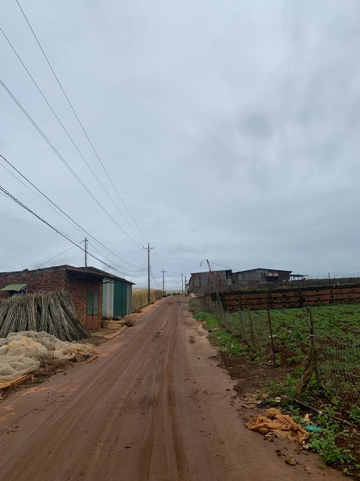 Đất Đạ Ròn 500m² thổ cư - Sổ riêng, giá mềm, đầu tư sinh lời!