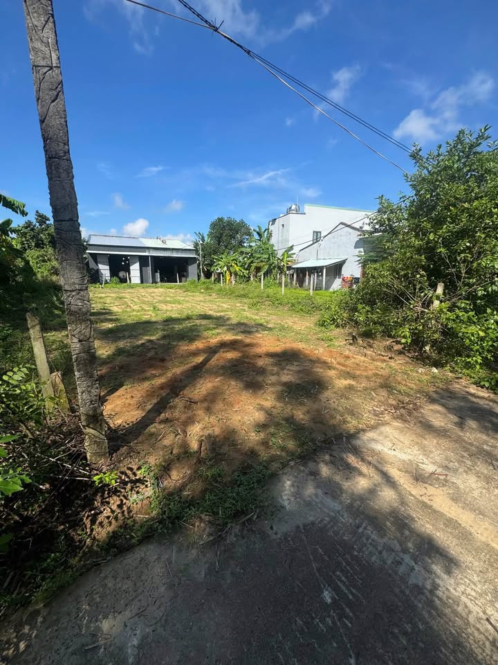 Đất nền Điện Thắng Nam 125m² giá chỉ 900 triệu - Cơ hội đầu tư tuyệt vời!