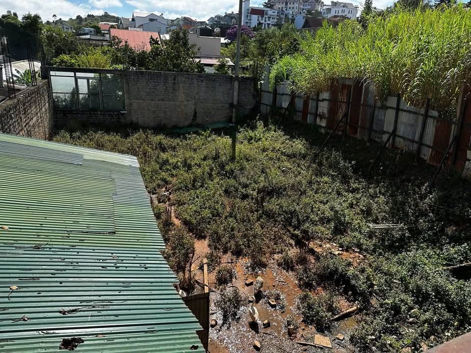 Đất nông nghiệp đường Hồ Xuân Hương Đà Lạt 438m² giá 12 tỷ - Sổ đỏ chính chủ, chuyển đổi thổ cư