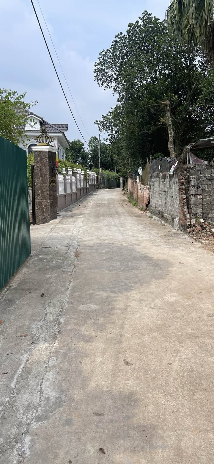 Đất thổ cư 300m² tại Suối Hai, Ba Vì chỉ 1.8 tỷ - Cơ hội đầu tư hấp dẫn!