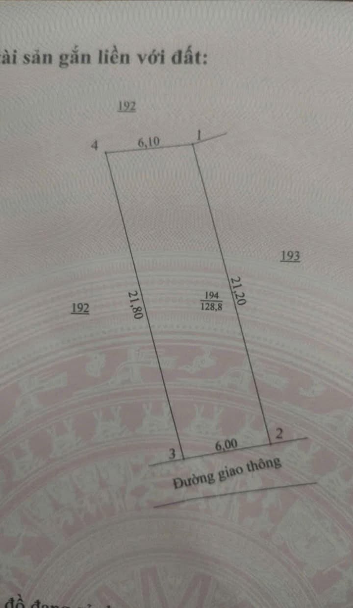 Đất nền Nghi Xuân 126m² giá 1.1 tỷ - Hướng Đông mát mẻ, tặng vàng ngay!