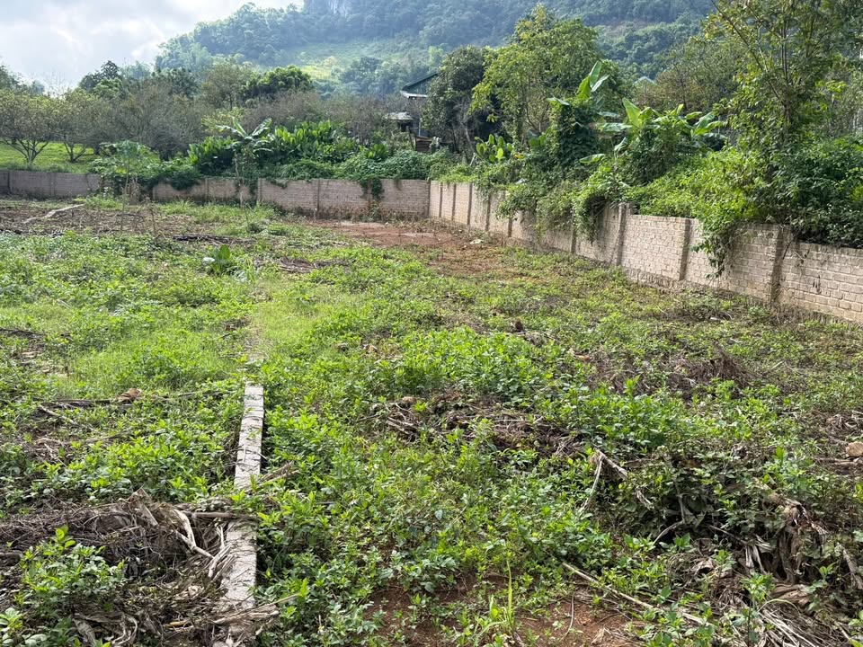 Đất thổ cư Nà Bó 2 Mường Sang 400m² giá chỉ 2 tỷ - Vị trí đẹp, tiện ích đầy đủ!
