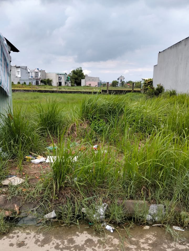 Đất nền KDC Mỹ Hạnh Hoàng Gia, Đức Hòa 126m² giá 1.45 tỷ - Cơ hội đầu tư tuyệt vời!