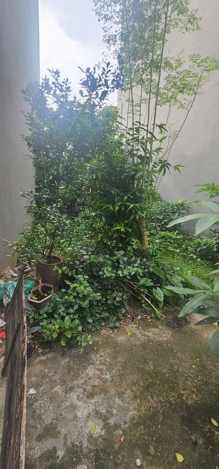 Đất 65m² tại Việt Hưng, Long Biên - Giá tốt chỉ từ 8 triệu!