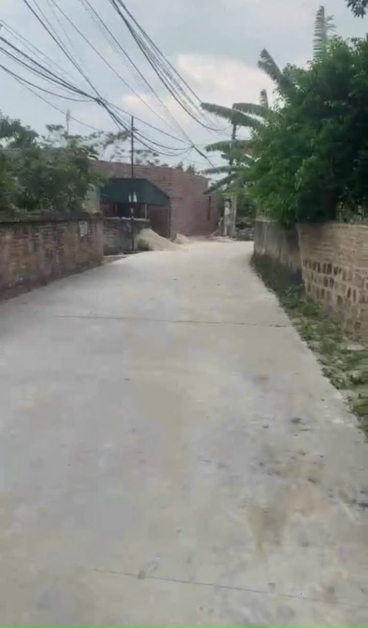 Đất nền Mạo Khê Đông Triều 225m² giá 800 triệu - Đường ô tô vào tận nơi!