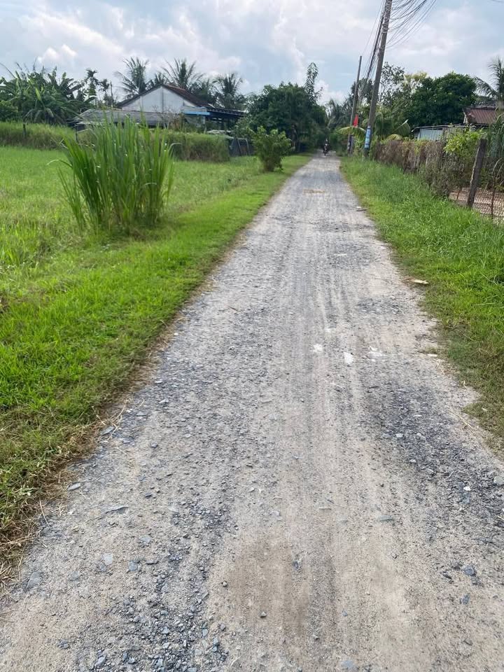 Đất thổ cư 1536m² tại Đức Hòa - Giá chỉ 4 tỷ, cơ hội đầu tư tuyệt vời!