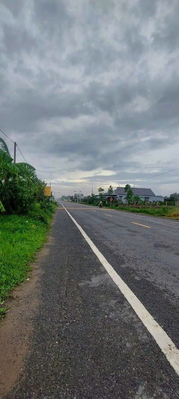 Đất nền mặt tiền TL883, Giồng Trôm, Bến Tre 9600m² - Tiềm năng phát triển cao!