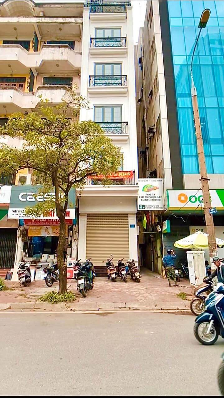 Bán Nhà Mặt Phố Cát Linh, Đống Đa, 27m² - Đầu tư sinh lời ngay!