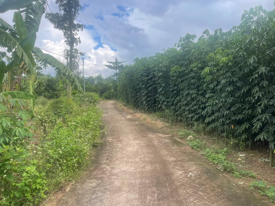 Đất thổ cư Xuân Tây, Cẩm Mỹ 300m² giá 1 tỷ - Cơ hội đầu tư tuyệt vời!