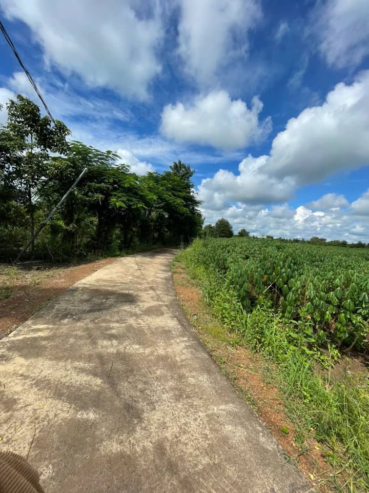 Đất nền xã Xuân Tây, Cẩm Mỹ, 21,600m² chỉ 3 tỷ - Đầu tư sinh lời ngay!