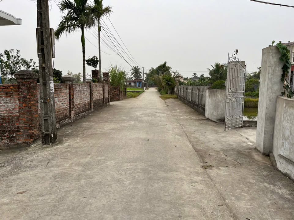 Đất thổ cư Thái Phúc Thái Thụy 150m² giá chỉ 600 triệu - Cơ hội đầu tư tuyệt vời!