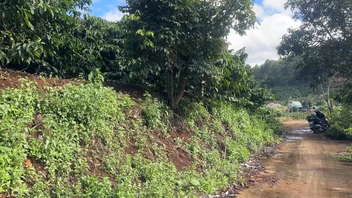 Đất Mê Linh Lâm Hà 5300m² giá 13 tỷ - Tiềm năng nghỉ dưỡng đỉnh cao!