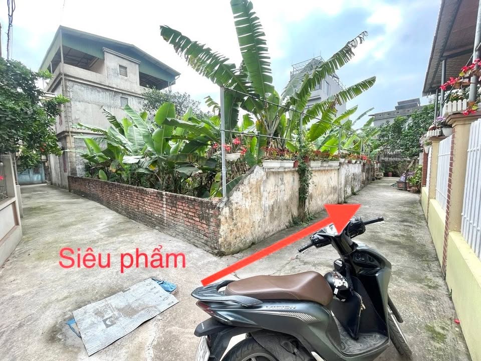 Đất đẹp Giang Biên 62m² giá 3.98 tỷ - Cơ hội đầu tư hiếm có!