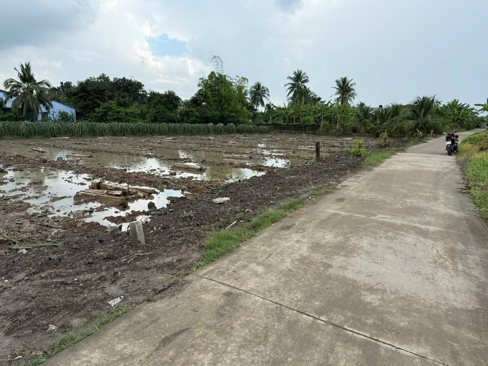 Đất thổ cư Hòa Phú, Châu Thành, Long An 165m² giá 390 triệu - Đầu tư sinh lời ngay!