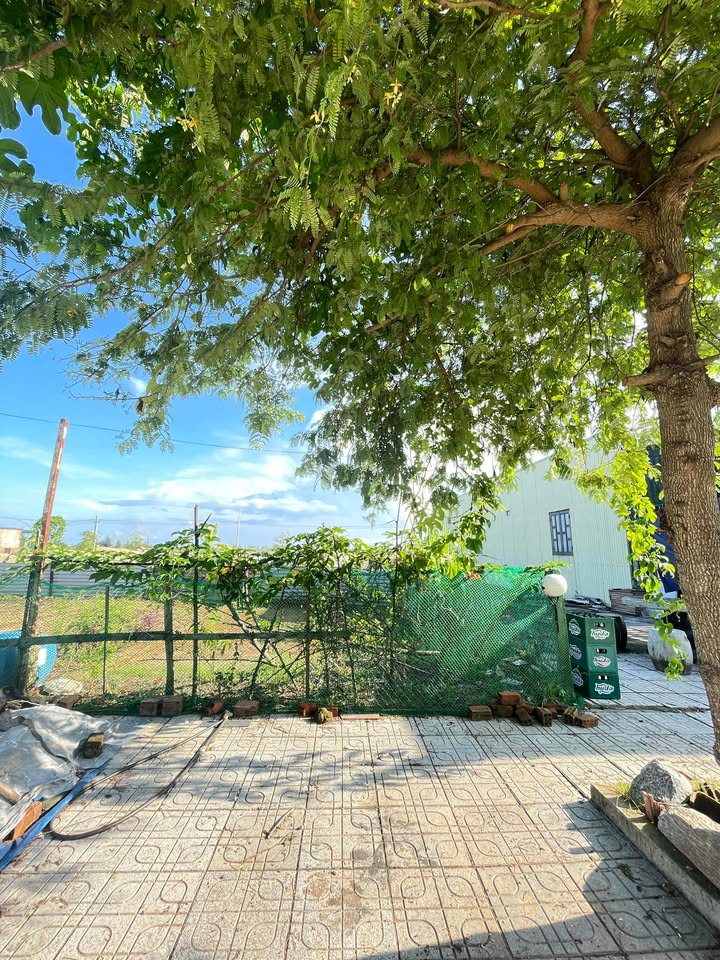 Đất nền KDC Chợ Trạm, Núi Thành 142m² giá 1.35 tỷ - Cơ hội đầu tư tuyệt vời!