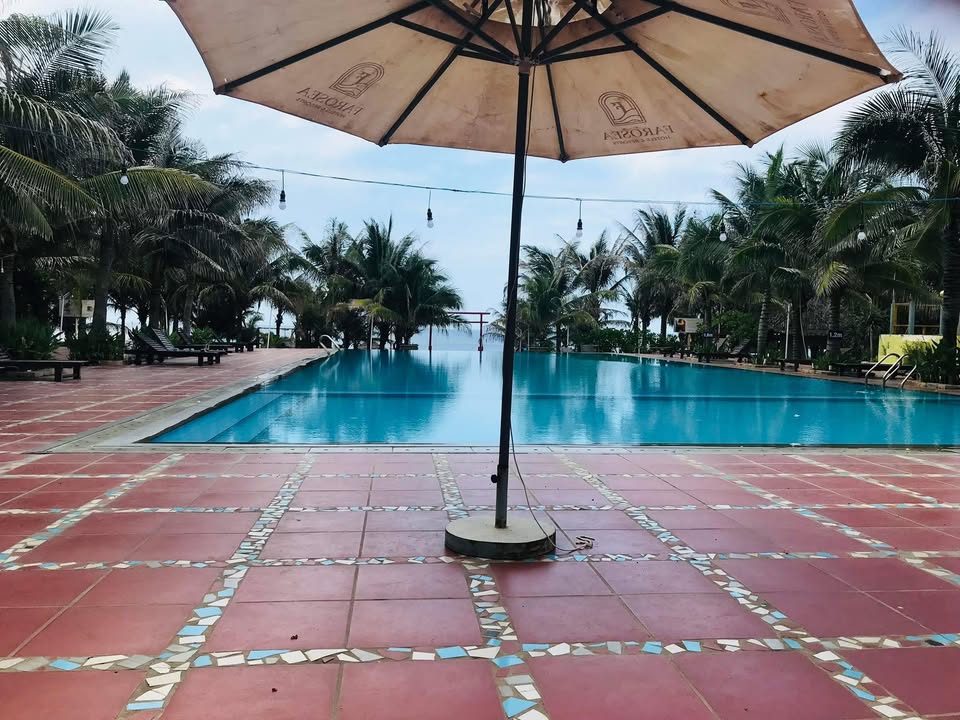 Farm Mũi Né 2500m² giá 25 tỷ - Đầu tư sinh lời ngay hôm nay!