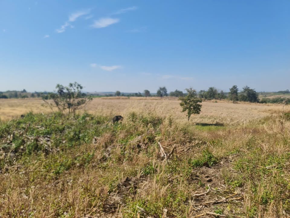 Đất nền 1.8ha làng Khô, Ia Pia, giá chỉ 4 tỷ - Cơ hội đầu tư tuyệt vời!