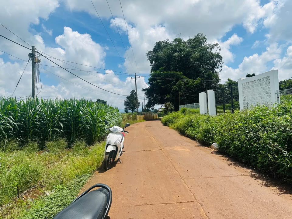 Đất thổ cư 1 sào Tân Hội Đức Trọng giá 820 triệu - Đầu tư sinh lời hấp dẫn!