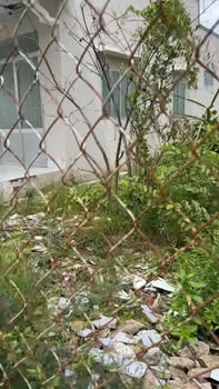 Đất nền mặt tiền đường Hai Cây Lim, Long Hưng, Gò Công 111m² giá 750 triệu - Đầu tư sinh lời ngay!