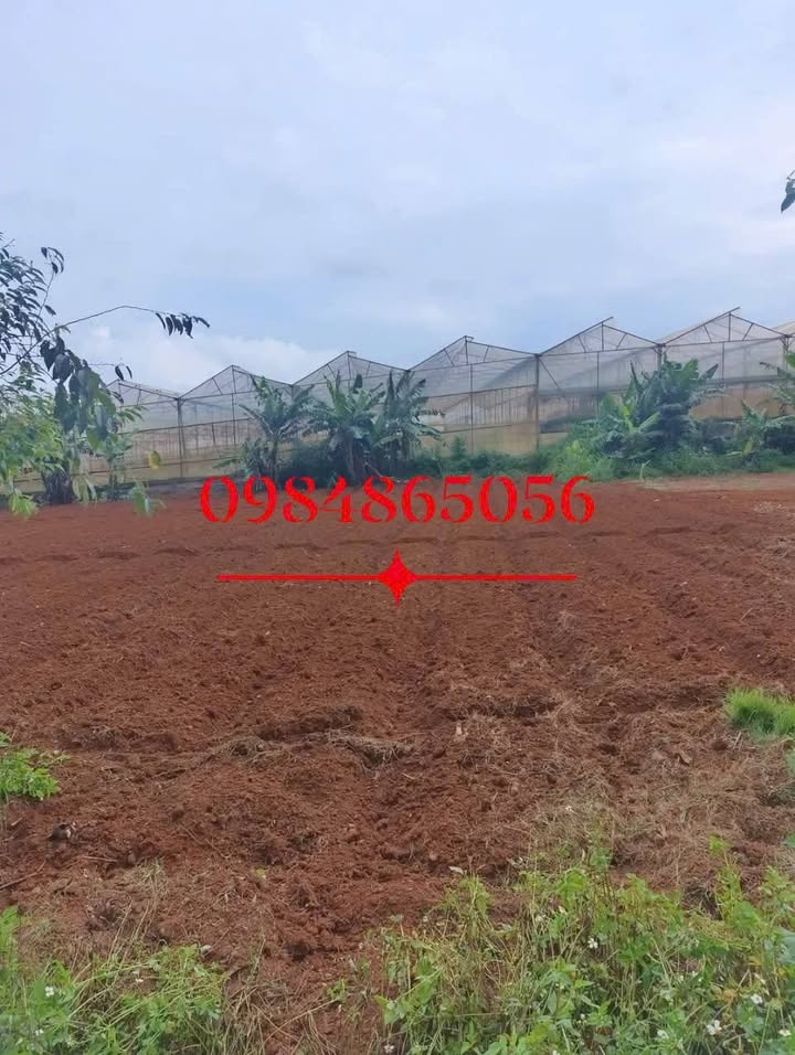 Đất thổ cư xã Ka Đô - Đơn Dương 175m² giá 639 triệu - Khu dân cư yên tĩnh!