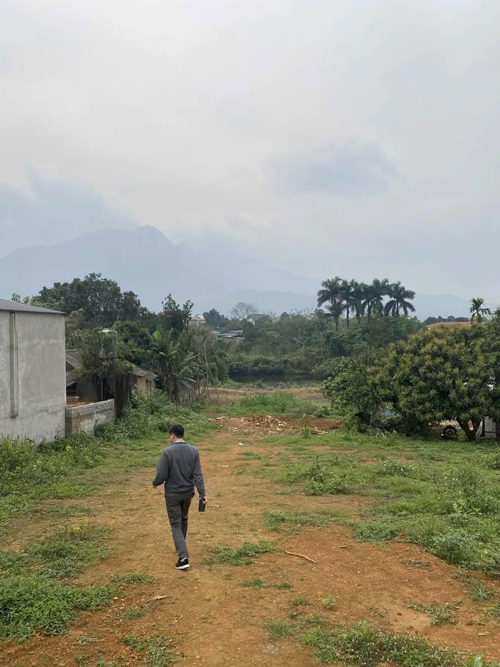 Đất nghỉ dưỡng thôn Mít Mái - Yên Bài 1000m² giá thỏa thuận - Đầu tư sinh lời ngay!