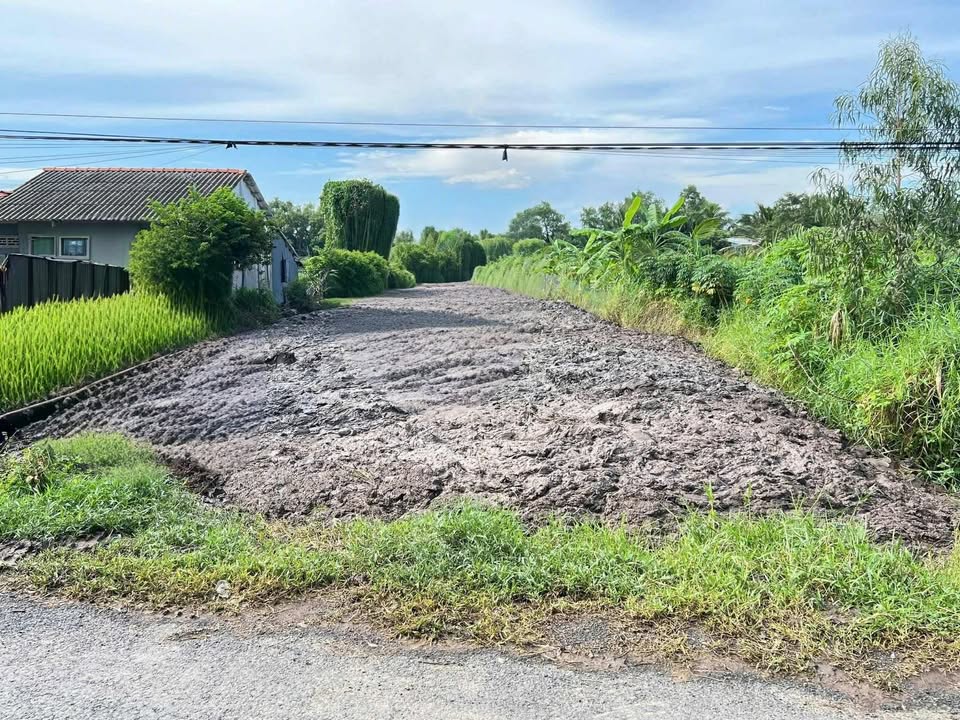 Đất mặt tiền đê Long Hải - Gò Công 990m² giá 650 triệu - Cơ hội đầu tư lý tưởng!