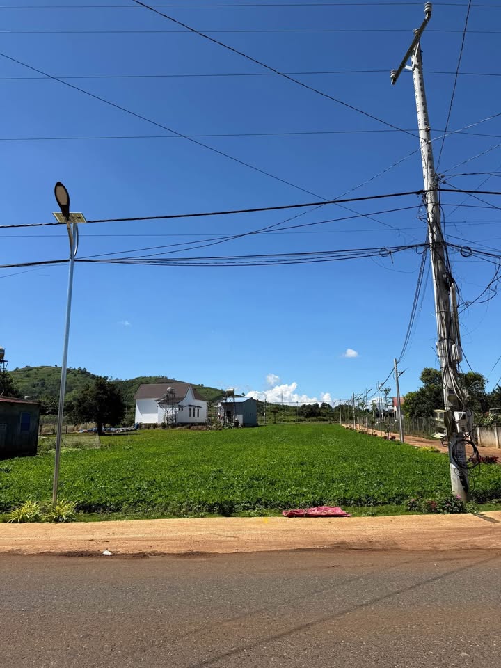 Đất nền Tân Hội, Đức Trọng 100m² giá 890 triệu - Cơ hội đầu tư hấp dẫn!