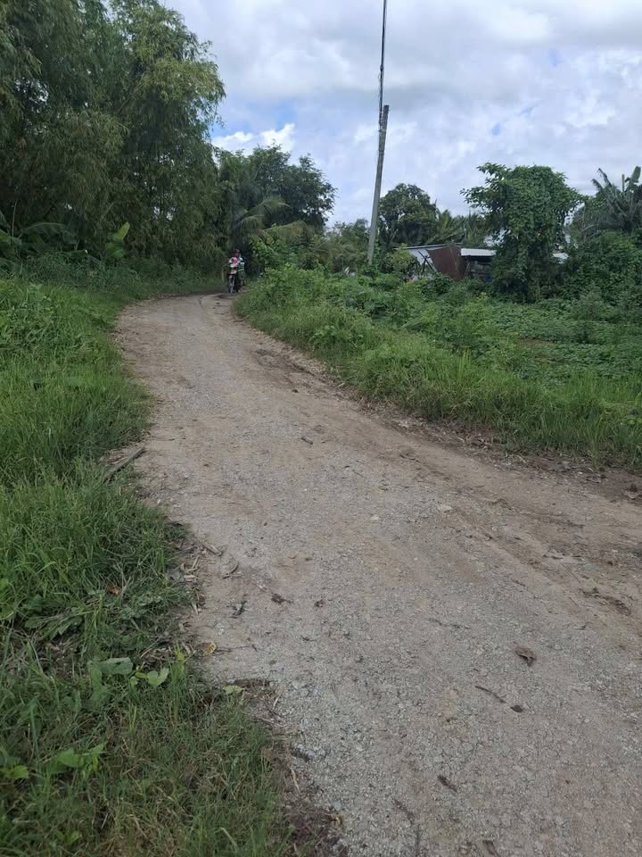 Đất mặt tiền góc đường Tây Phú, Thoại Sơn 2245m² giá 1.2 tỷ - Cơ hội đầu tư tuyệt vời!