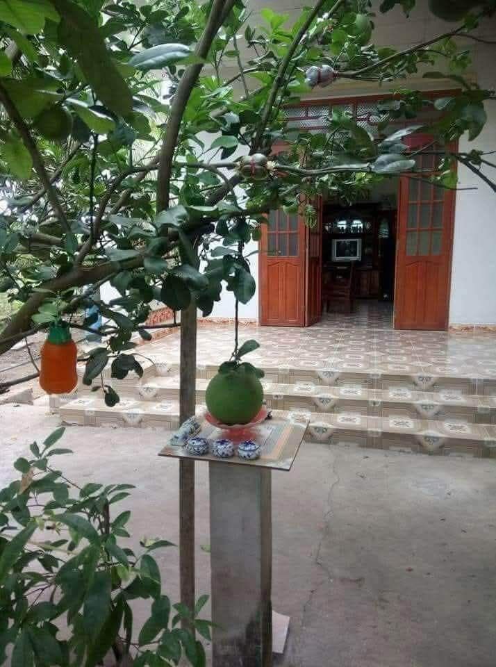 Đất nền Hẻm 1514 đường 30/4, phường 12, Vũng Tàu 66m² giá chỉ 1.779 tỷ - Cơ hội đầu tư tuyệt vời!