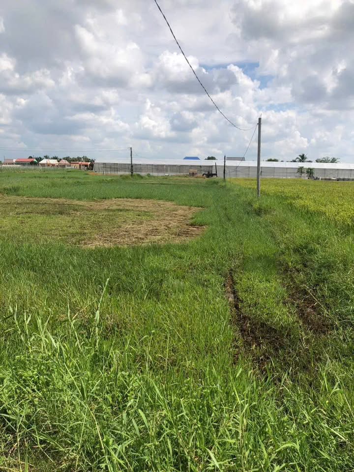 Đất nền Mỹ Hạnh Bắc, Đức Hòa 1188m² giá 6.9 tỷ - Tiềm năng đầu tư lớn!