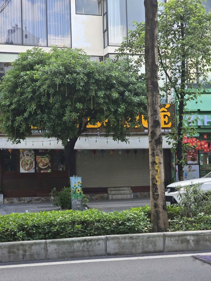 Mặt bằng cho thuê mặt tiền Trần Đại Nghĩa 200m² giá 70 triệu - Địa điểm lý tưởng cho kinh doanh!