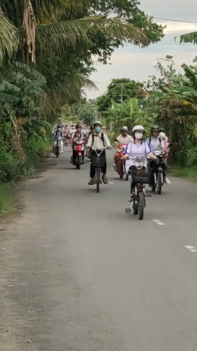 Đất nền Cầu Kè Trà Vinh 600m² giá 900 triệu - Trồng dừa và cây ăn trái sẵn sàng!