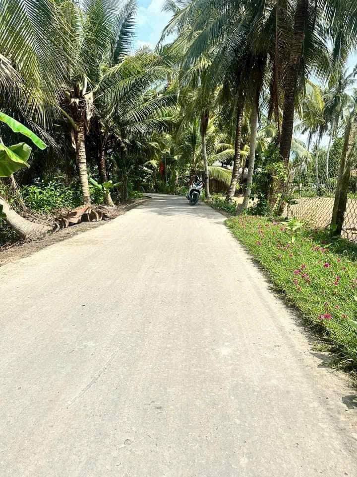 Đất nền Hậu Lộc 132m² giá 220 triệu - Đầu tư sinh lời ngay!