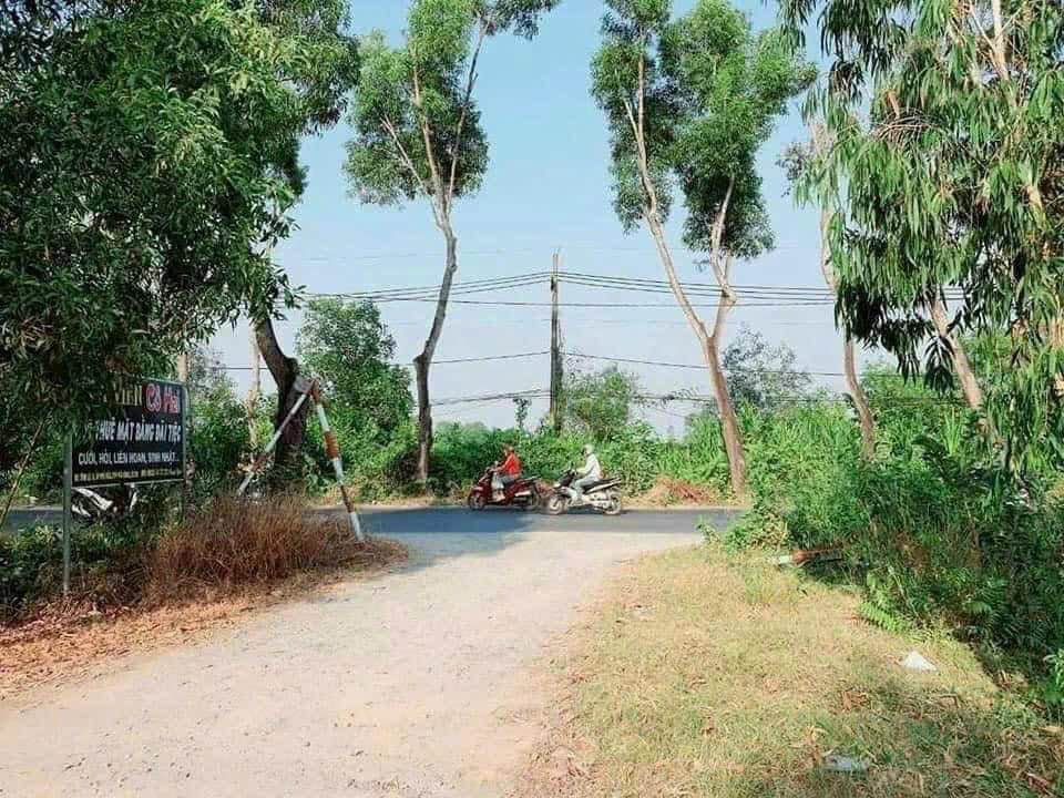 Đất nền Phú Hòa Đông, Củ Chi 1000m² giá 2.5 tỷ - Lý tưởng làm nhà vườn