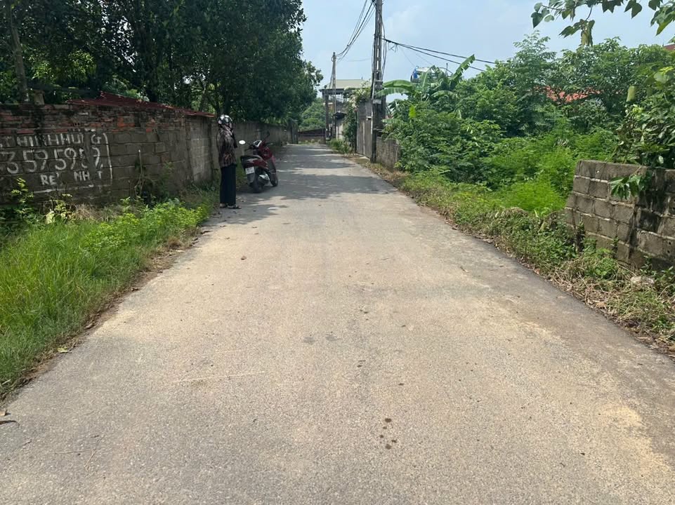 Đất nền Định Trung Vĩnh Yên 117m² giá chỉ 1 tỷ - Cơ hội đầu tư sinh lời!