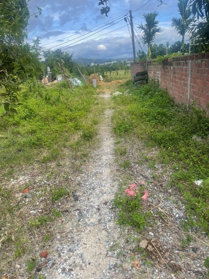 Đất thổ cư thôn 9 xã Đăk Cấm, 140m² giá 390 triệu - Đầu tư sinh lời ngay!