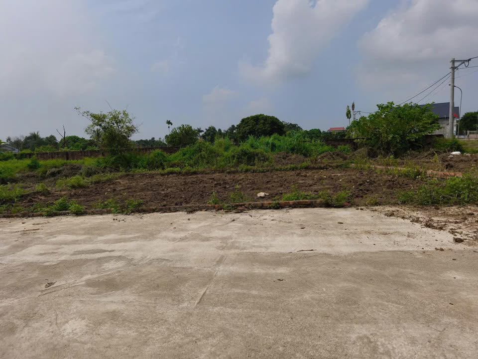 Đất nền 100m² mặt tiền 10m tại Minh Phú, Sóc Sơn - Chỉ 1 tỷ chính chủ!