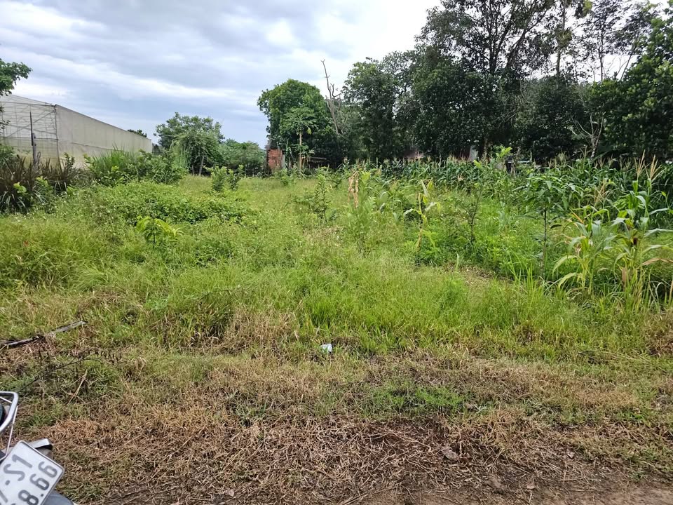 Đất nền Thôn 3, xã Ea Bung, 500m² giá 380 triệu - Cơ hội đầu tư giá tốt!