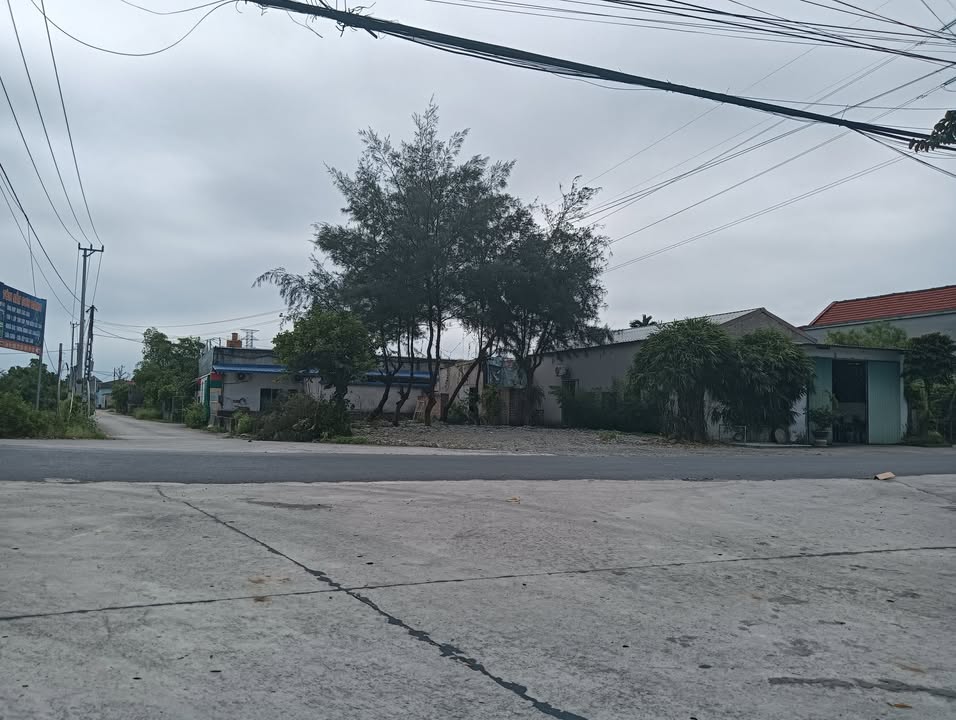 Đất nền Khánh Nhạc Yên Khánh 310m² giá thỏa thuận - Cơ hội đầu tư tuyệt vời!