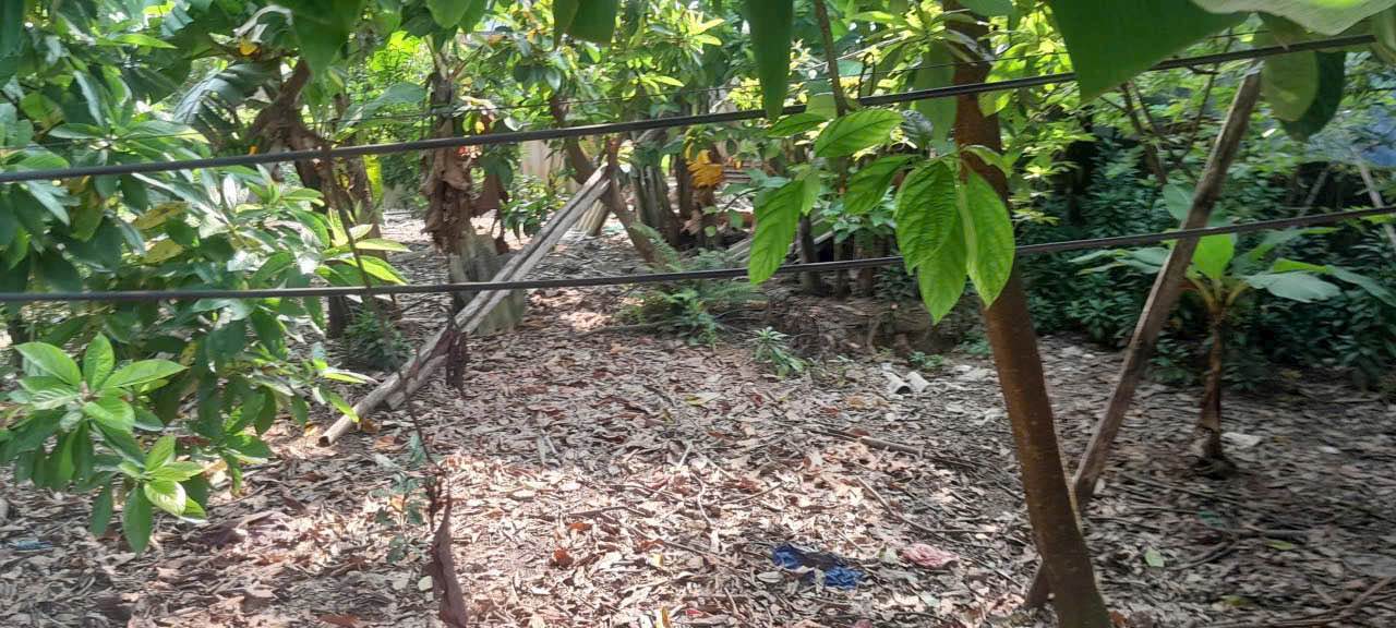 Đất nền đẹp tại phường Nông Tiến, Tuyên Quang 125m² giá 1.85 tỷ - Đầu tư sinh lời ngay!