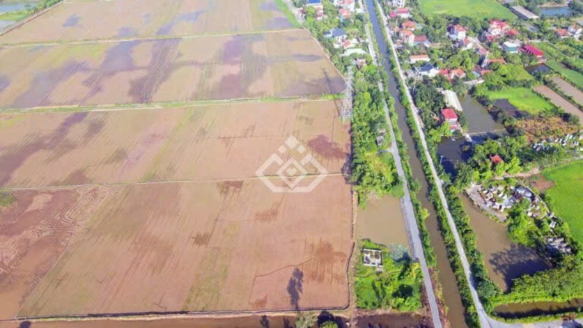 Đất dự án KCN Châu Giang, Duy Tiên - 2,4ha giá thỏa thuận - Pháp lý rõ ràng, hỗ trợ vay vốn 70%!