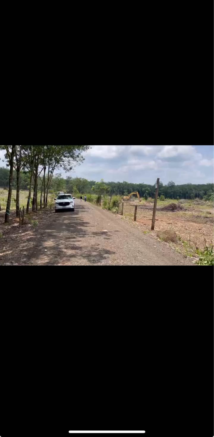 Đất nền ấp Thuận Bình, Đồng Phú 1000m² chỉ 290 triệu - Cơ hội đầu tư tuyệt vời!