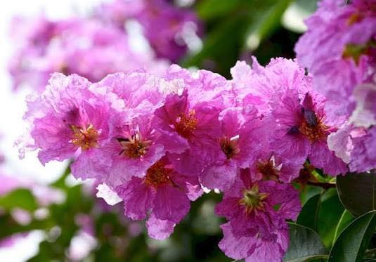 Đất thổ cư Đồng Trung, Thanh Thủy 260m² giá 1 tỷ - Mặt tiền 8m, đường bê tông rộng rãi!