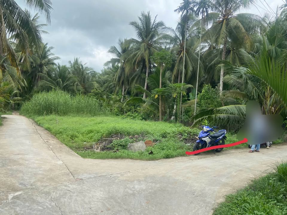 Đất nền Thanh Tân, Bến Tre 116m² giá 290 triệu - Cơ hội đầu tư hấp dẫn!